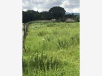 Terreno en venta en San Juan de las Tablas, Nicolás Romero — foto 3 de 20