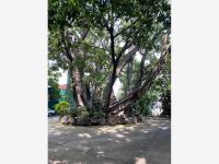 Departamento en renta en Jacarandas, Cuernavaca — foto 3 de 27
