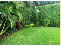 Casa en venta en Residencial Sumiya, Jiutepec — foto 3 de 7