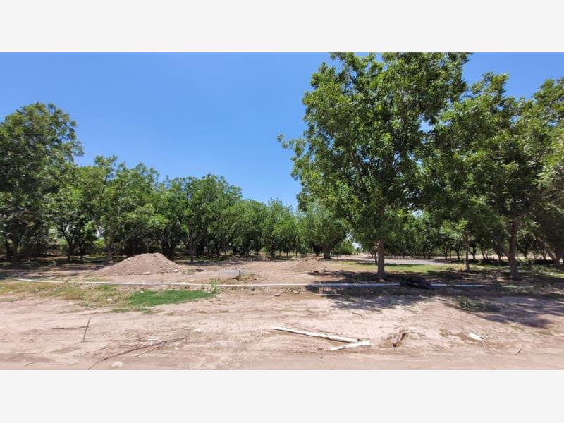 Terreno en venta en La Joya, Arteaga — foto 1 de 6