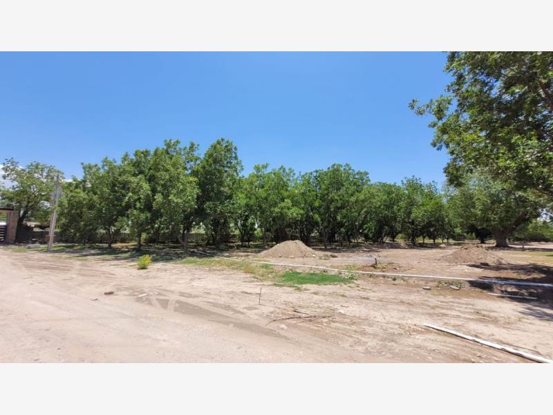 Terreno en venta en La Joya, Arteaga — foto 1 de 7