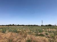Terreno en venta en La Capilla del Refugio, Ixtlahuacán de los Membrillos — foto 3 de 5