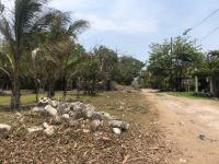 Terreno en venta en La Aguada, Alvarado — foto 2 de 6