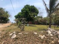 Terreno en venta en La Aguada, Alvarado — foto 3 de 6