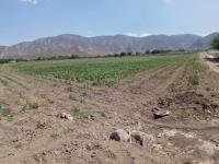 Terreno en venta en Carlos Real (San Carlos), Lerdo — foto 2 de 8
