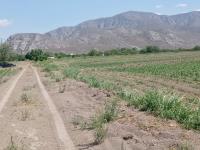 Terreno en venta en Carlos Real (San Carlos), Lerdo — foto 3 de 8
