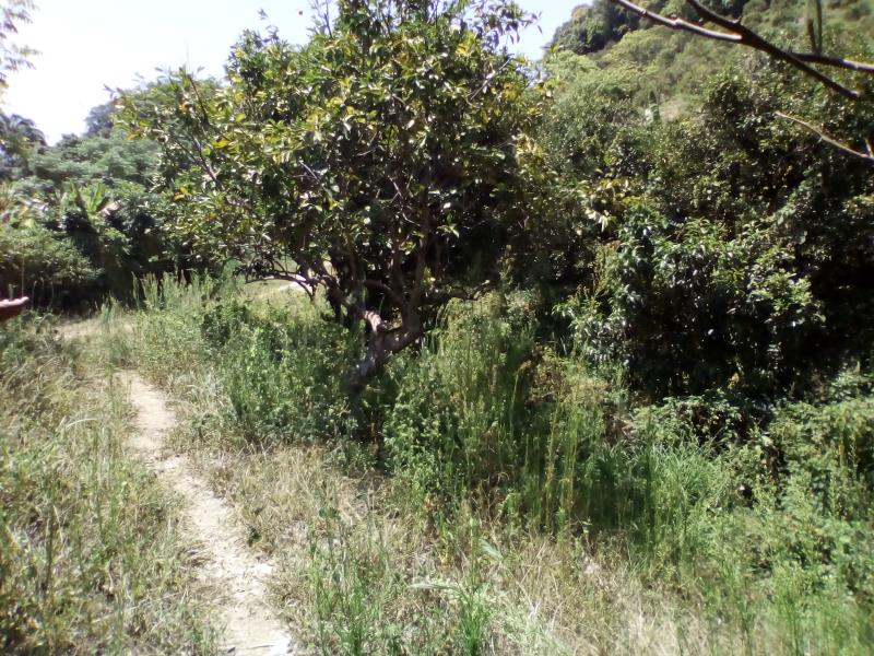 Terreno en venta en Poza Verde, Papantla — foto 1 de 9