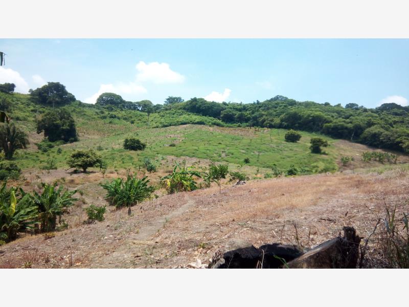 Terreno en venta en Polutla, Papantla — foto 1 de 2