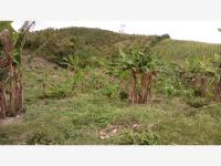 Terreno en venta en Polutla, Papantla — foto 2 de 2