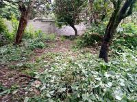 Terreno en venta en Santo Domingo Ocotitlán, Tepoztlán — foto 3 de 8