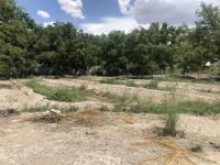 Terreno en venta en Parras de la Fuente Centro, Parras — foto 3 de 36