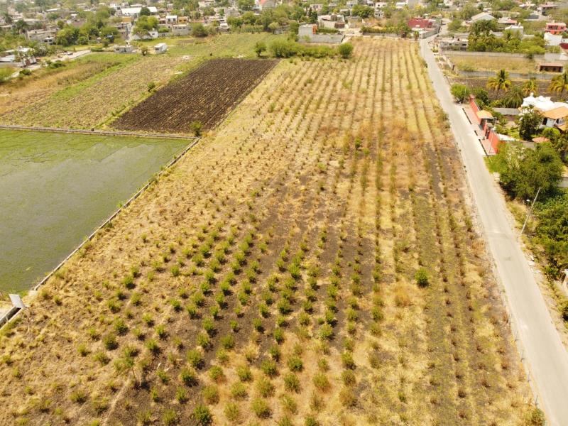 Terreno en venta en Xochitepec Centro, Xochitepec — foto 1 de 6