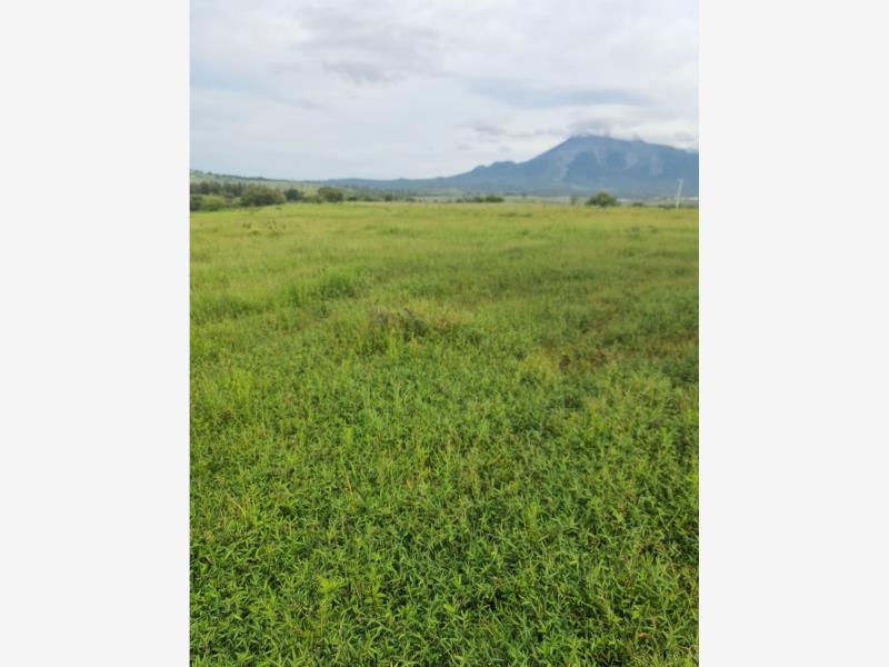 Terreno en venta en San Marcos, San Marcos