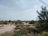 Terreno en venta en Paso del Aguila, Torreón — foto 3 de 10