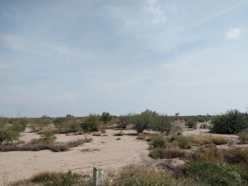 Terreno en Venta en Paso del Aguila, Torreón, Coahuila de Zaragoza