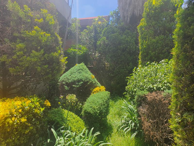 Casa en venta en Bosque de las Lomas, Miguel Hidalgo — foto 1 de 19
