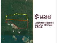 Terreno en renta en Yunku, Sacalum — foto 3 de 4