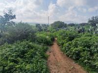 Terreno en venta en El Tejocote, Tequisquiapan, Querétaro