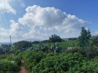 Terreno en venta en El Tejocote, Tequisquiapan — foto 2 de 8