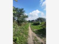 Terreno en venta en El Tejocote, Tequisquiapan — foto 3 de 8