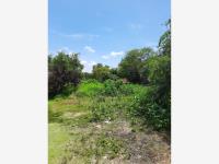 Terreno en venta en Tehuixtla, Jojutla — foto 2 de 17