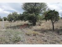Terreno en venta en San Francisco del Mezquital, Mezquital — foto 2 de 3