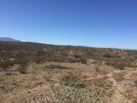 Terreno en venta en General Cepeda, General Cepeda — foto 3 de 13