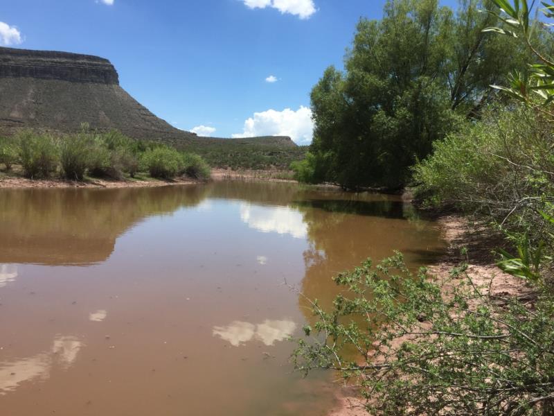 Terreno en venta en General Cepeda, General Cepeda — foto 1 de 13
