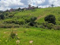 Terreno en venta en Los Encinos, Morelia — foto 3 de 11