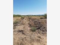 Terreno en venta en Ejido San Miguel, Matamoros — foto 2 de 5