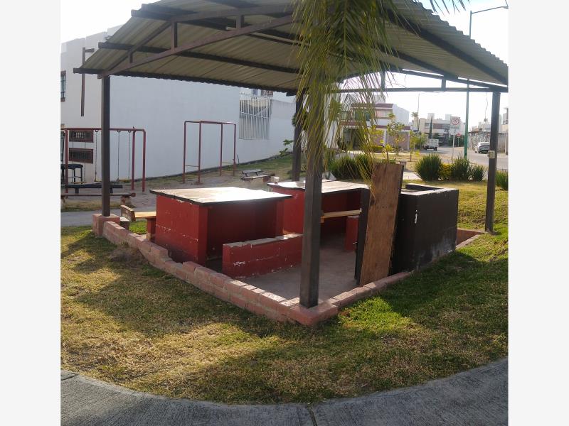 Imagen 5