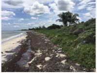 Terreno en venta en Bacalar Centro, Bacalar — foto 3 de 4