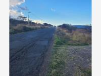 Terreno en venta en Jiquilpan de Juarez Centro, Jiquilpan — foto 2 de 22