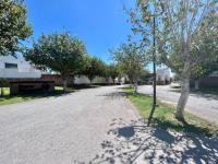 Terreno en venta en Las Trojes, Torreón — foto 2 de 12