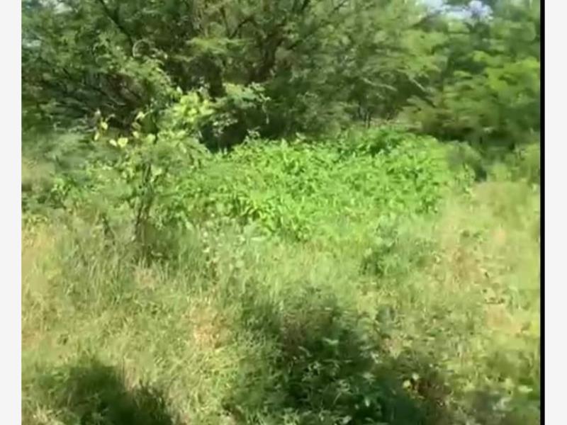 Terreno en venta en Comala, Comala