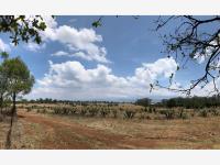 Terreno en venta en San Pablo Ojo de Agua, Huasca de Ocampo — foto 3 de 6