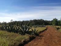Terreno en venta en San Pablo Ojo de Agua, Huasca de Ocampo — foto 3 de 8