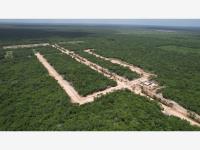Terreno en venta en San Antonio Chel, Hunucmá — foto 2 de 18