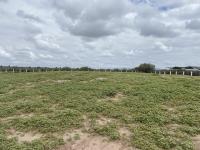 Terreno en venta en Mieleras, Torreón, Coahuila de Zaragoza Terreno en venta en Mieleras, Torreón, Coahuila de Zaragoza