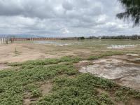 Terreno en venta en Mieleras, Torreón — foto 2 de 15