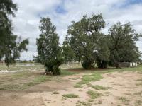 Terreno en venta en Mieleras, Torreón — foto 3 de 15