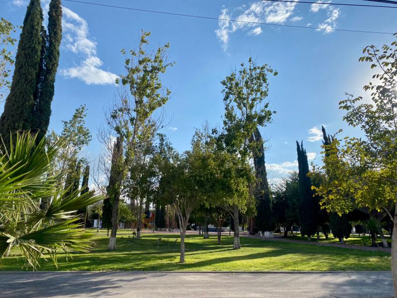 Terreno en Venta en Residencial el Fresno, Torreón, Coahuila de Zaragoza