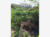 Terreno en renta en Banus, Alvarado — foto 3 de 11