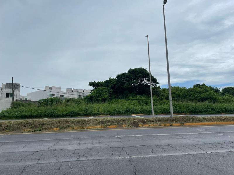 Terreno en renta en Banus, Alvarado — foto 1 de 11