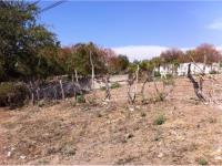 Terreno en venta en El Estudiante, Puente de Ixtla — foto 2 de 2