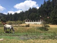 Terreno en venta en Mineral del Monte Centro, Mineral del Monte — foto 3 de 15