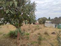 Terreno en venta en San Salvador Cuauhtenco, Milpa Alta — foto 2 de 7