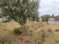 Terreno en venta en San Salvador Cuauhtenco, Milpa Alta — foto 3 de 7
