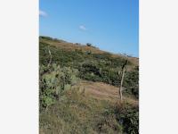 Terreno en venta en Rincón de la Palma, Alvarado — foto 3 de 11