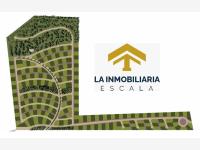 Terreno en venta en San Antonio de las Alazanas, Arteaga — foto 3 de 5